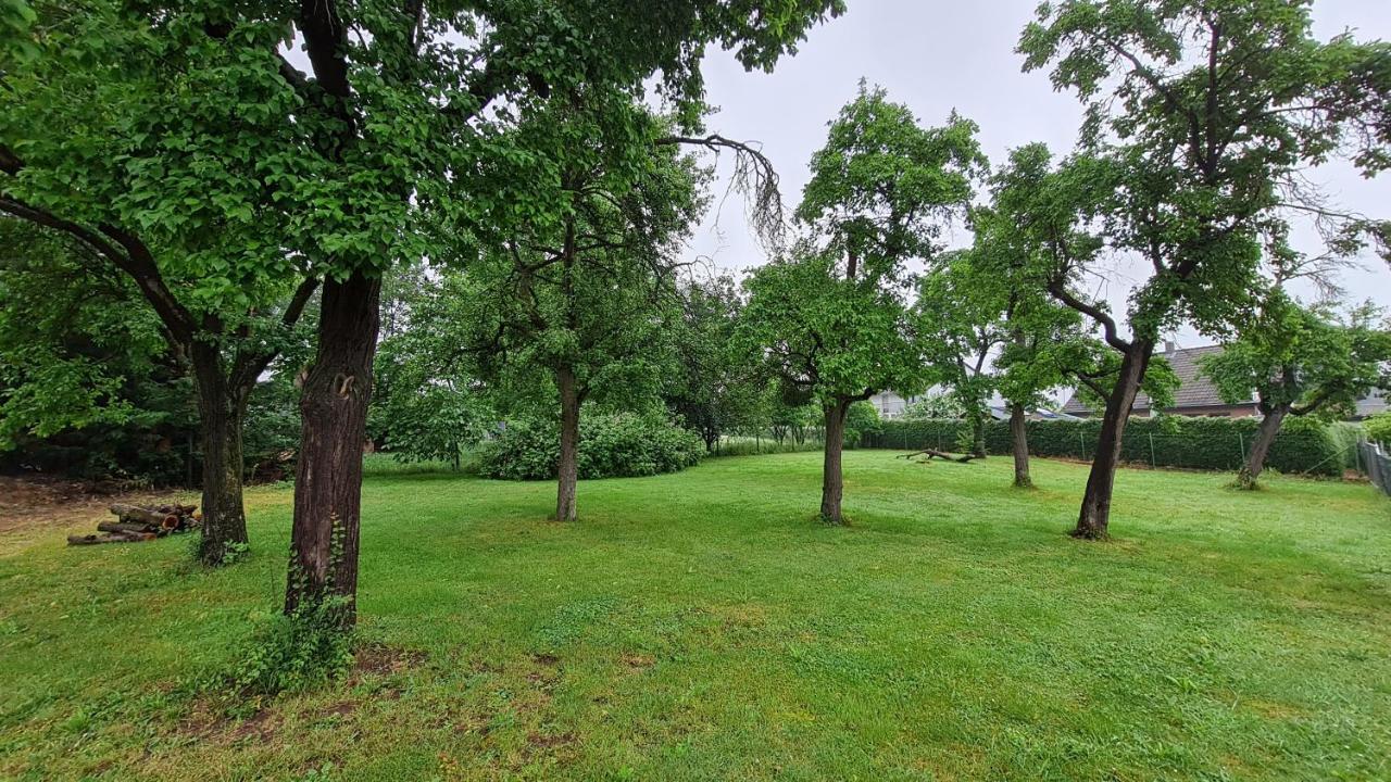 Eifelhof Mit Obstbaumwiese Nideggen Exterior photo